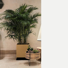 Load image into Gallery viewer, Plastic weaving flower basket