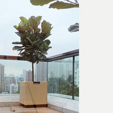 Load image into Gallery viewer, Plastic weaving flower basket