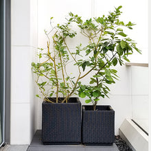 Load image into Gallery viewer, Plastic weaving flower basket (Black)