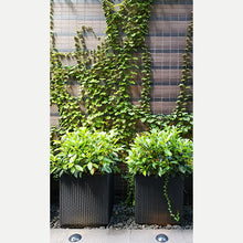 Load image into Gallery viewer, Plastic weaving flower basket (Black)